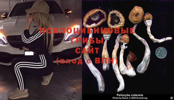 твердый Беломорск