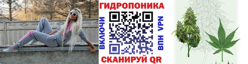 Бошки Шишки сатива  Туран 